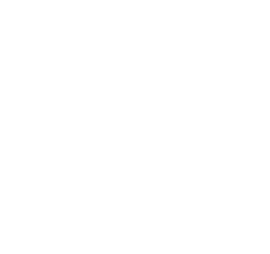 Repsol 2